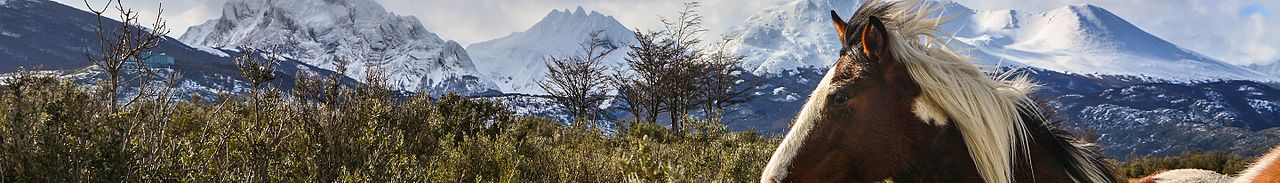 Photograph of Argentina