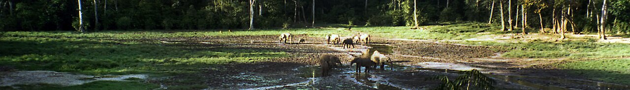 Photograph of Central African Republic