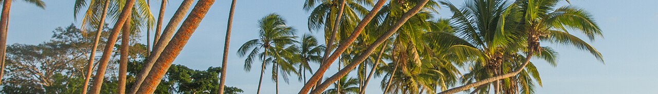 Photograph of Fiji