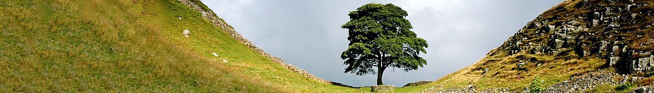 Photograph of United Kingdom