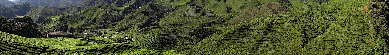 Photograph of Malaysia