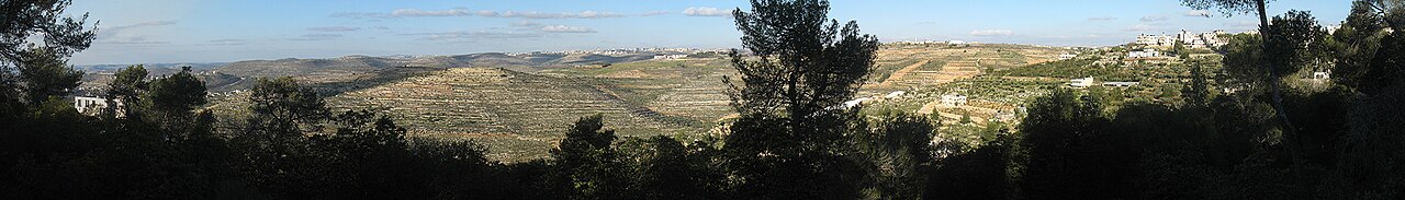 Photograph of Palestine