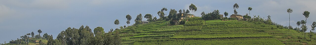 Photograph of Rwanda