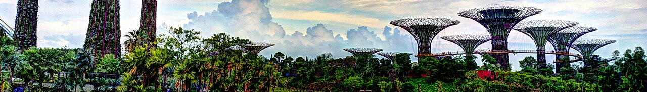 Photograph of Singapore