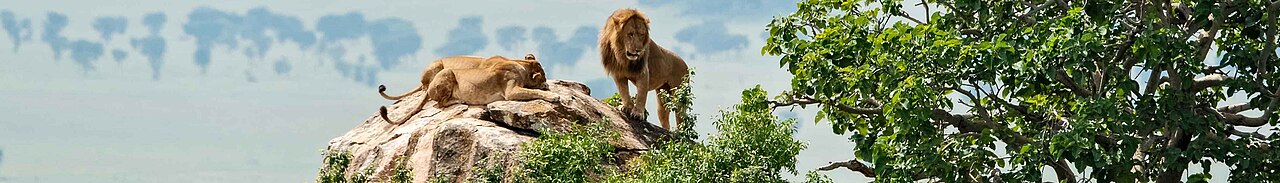 Photograph of Uganda